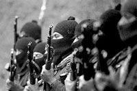 ezln03fb.jpg